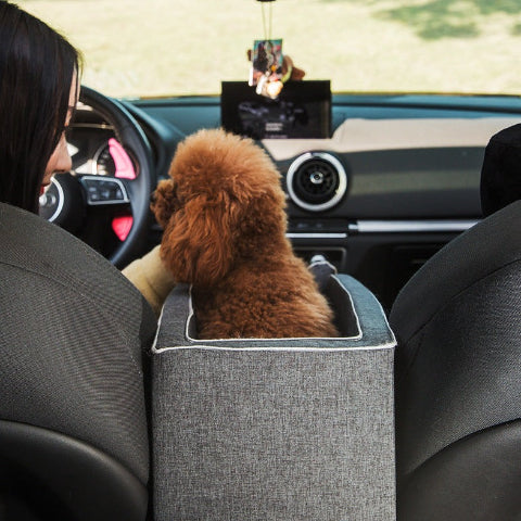 Hondtransportmand – Comfort en Stabiliteit in de Auto