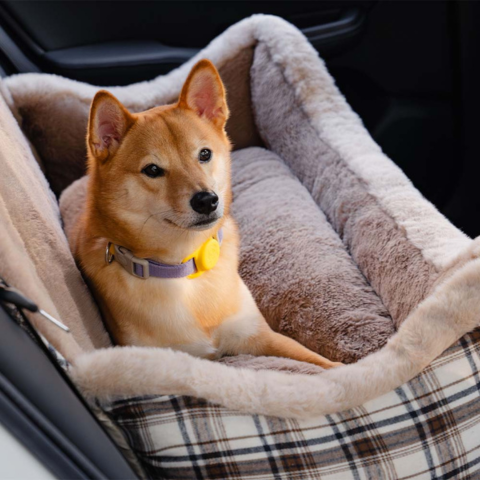 犬用旅行用バンケット - 快適で取り付けが簡単
