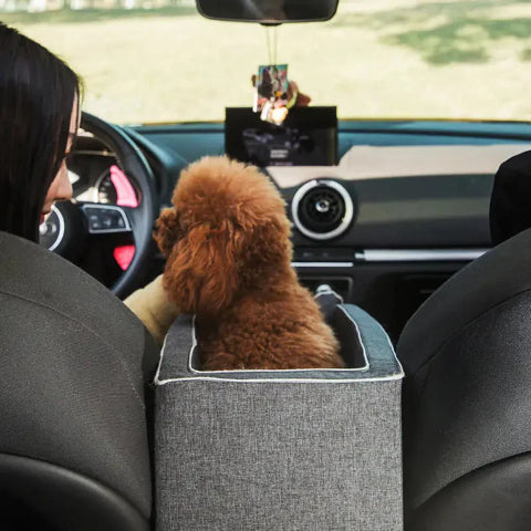 Cesta de Viagem de Carro para Cão – Perfeita para os Pequenos Companheiros 