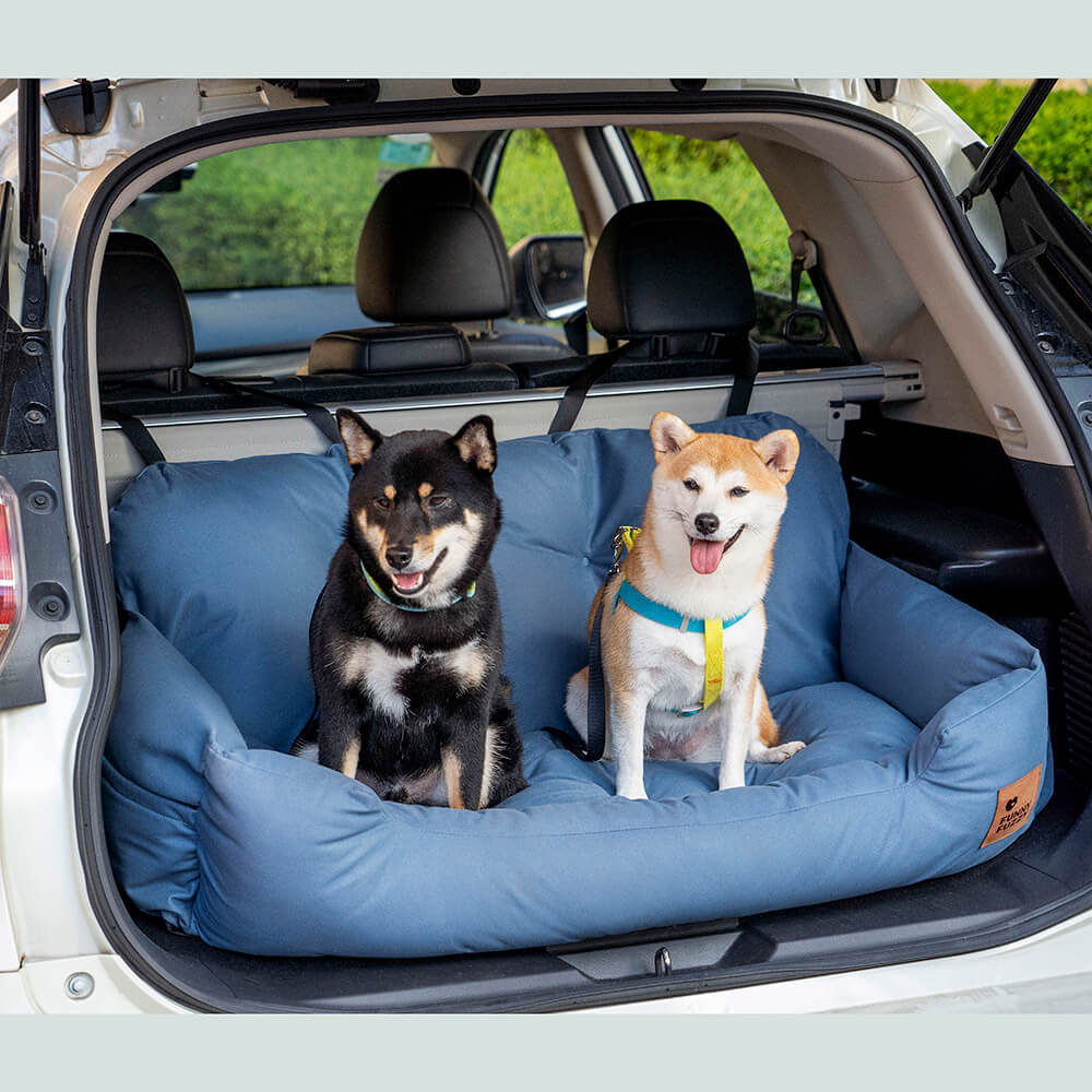 Silla de Auto Para Perro — Viaja Juntos Con Total Seguridad 