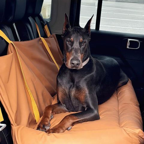 Capa de Carro para Cachorro – Proteção e Conforto na Estrada 