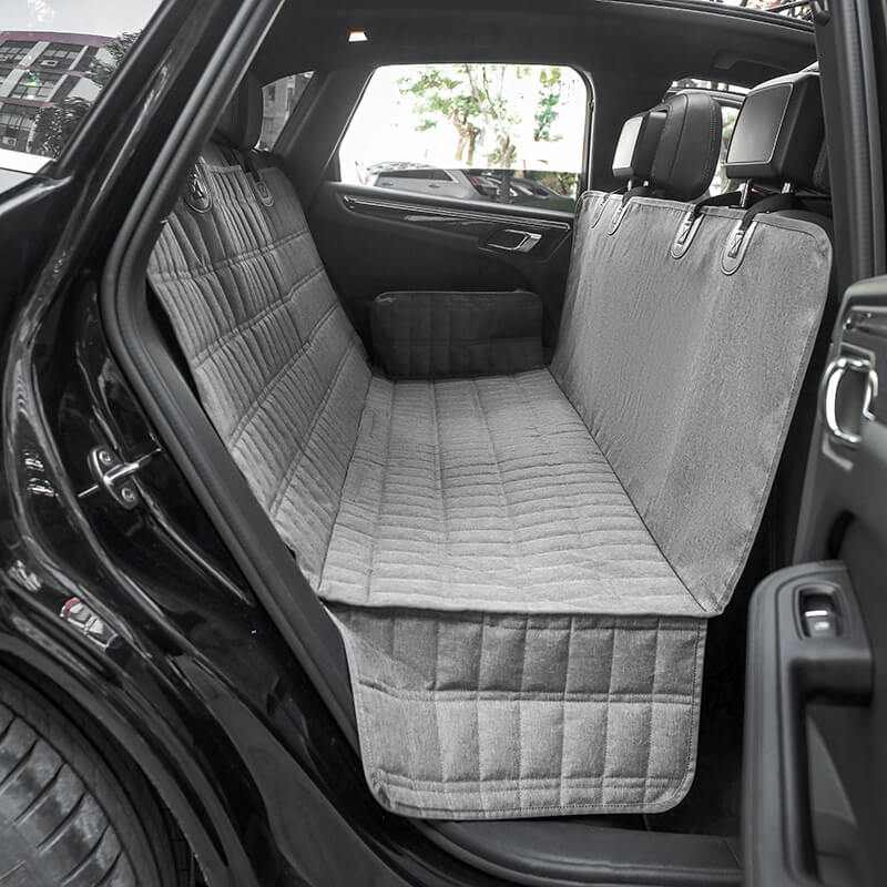 Protección y Organización 