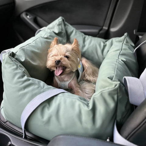 Capa de Carro para Cachorro – Proteção e Conforto na Estrada 