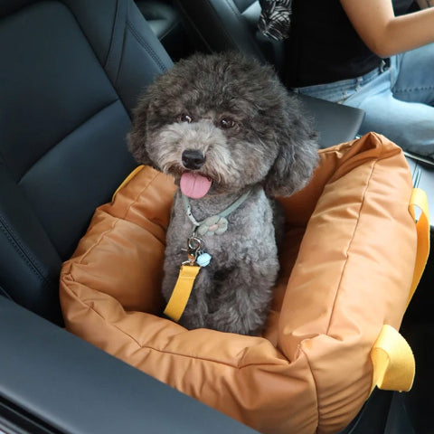 Capa de Carro para Cachorro – Proteção e Conforto na Estrada 