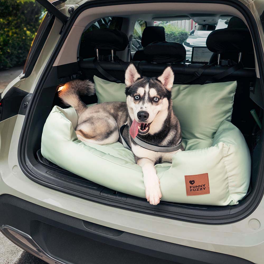 Silla de Auto Para Perro — Viaja Juntos Con Total Seguridad 