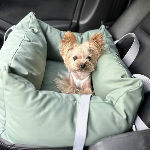 Capa de Carro para Cachorro – Proteção e Conforto na Estrada 