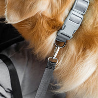 Silla de Auto Para Perro — Viaja Juntos Con Total Seguridad 
