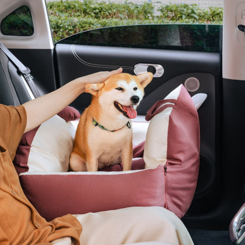 Panier De Voyage Pour Chien – Polyvalent Et Facile À Transporter