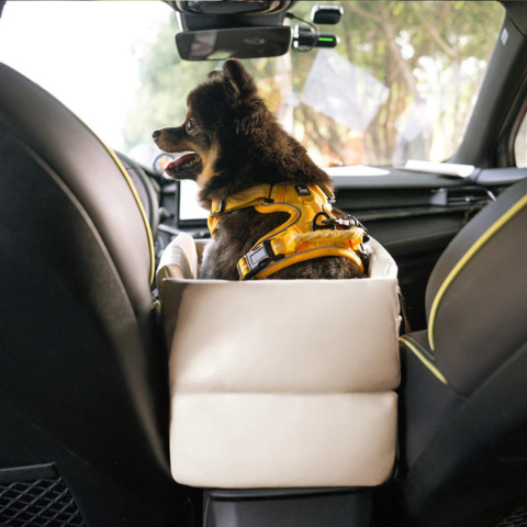 Cesta de Carro Para Pequeno Cão — Segurança E Conforto No Carro 