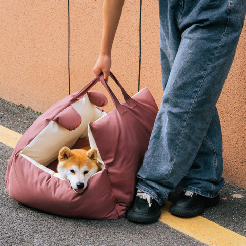 Panier De Voyage Pour Chien – Polyvalent Et Facile À Transporter