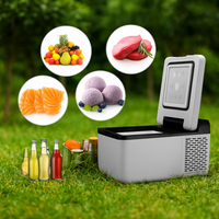 Mini Refrigerador Para Coche — Enfriamiento Rápido y Eficaz 