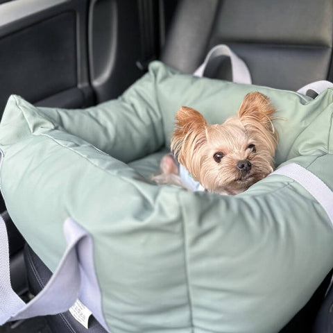 Capa de Carro para Cachorro – Proteção e Conforto na Estrada 